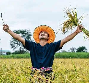 Agri-Tech and Innovation  Updates - PG