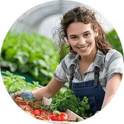 Revolutionizing  the Way Food - PG