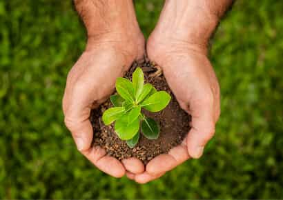 Organic Farming Solutions - PG