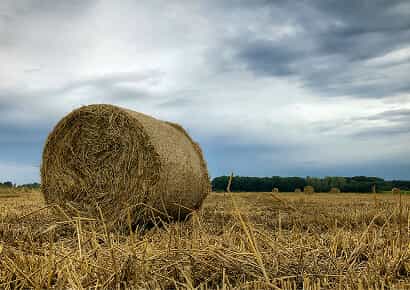 Organic Farming Solutions - PG