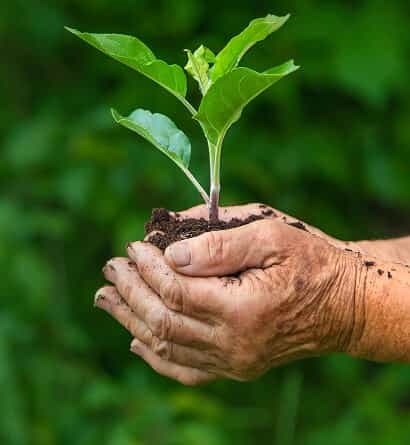 Modern Agriculture - PG