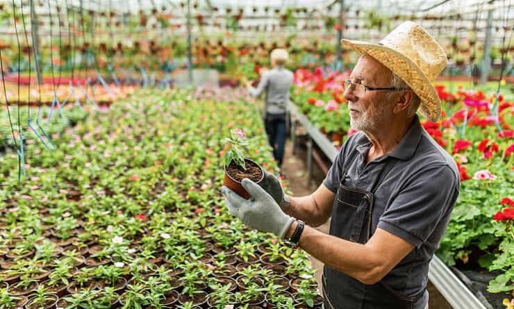 Modern Agriculture - PG