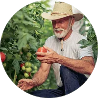Organic Farming - PG