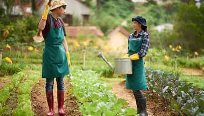 Revolutionizing the Way Food is Grown - PG